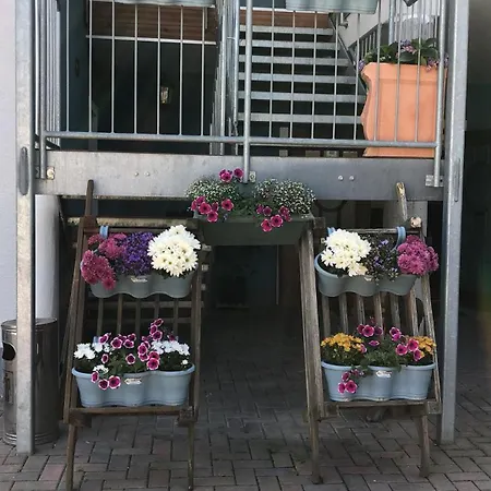 Guest house Rheinliebe Bistro Und Pension Lorch am Rhein